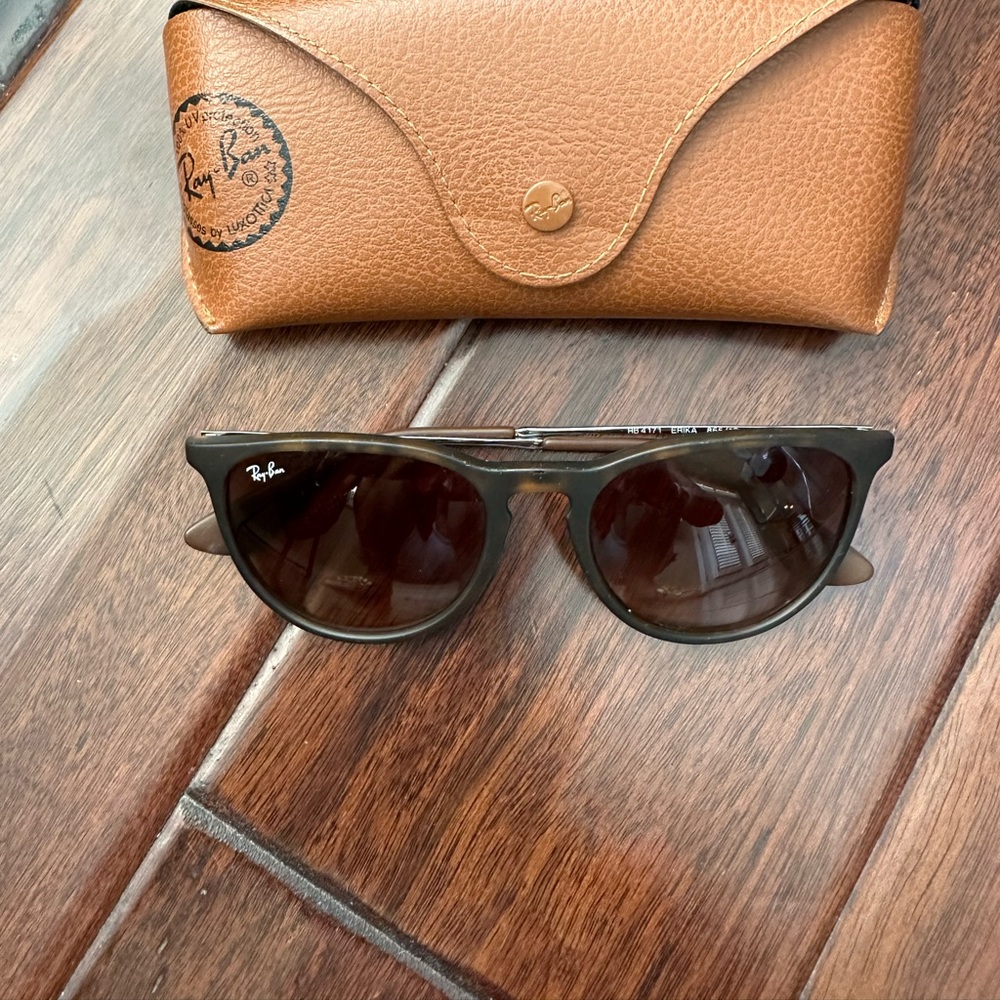 Ray-Ban Erika Sunglasses